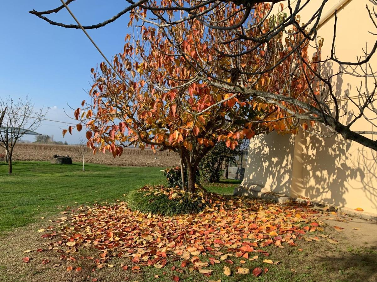 Agriturismo Cascina Mariale Albiano D'Ivrea ภายนอก รูปภาพ